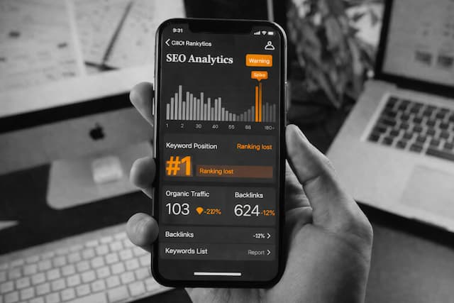 consultor seo experto b2b