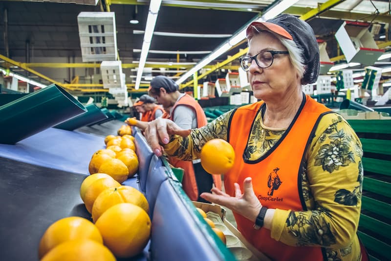 fotografía corporativa documental